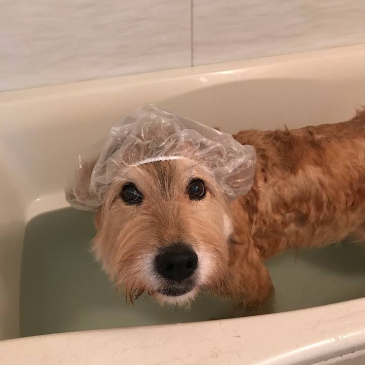 53d0ea1a e764 4c74 bbf7 bdf0ff7d6444 1627454709267