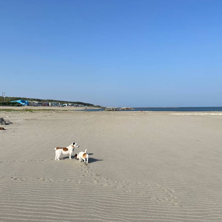 53d10129 f126 4025 a7ae 816420571ebc 1684364834345