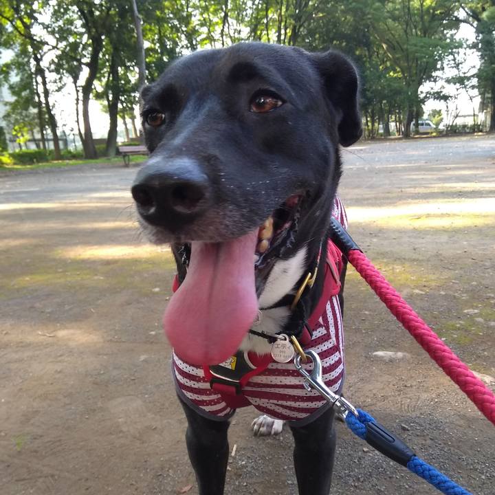 53d10831 7114 4dec bbc9 faa383a39c93 1597450352033