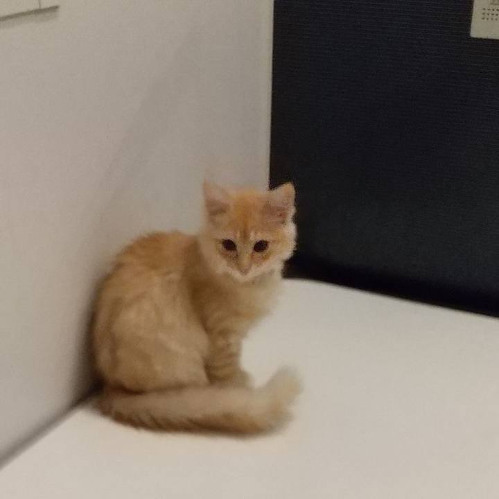 53d1238d 0ea6 4c4e a8f4 68f9ac2d1ec3 1607290240371