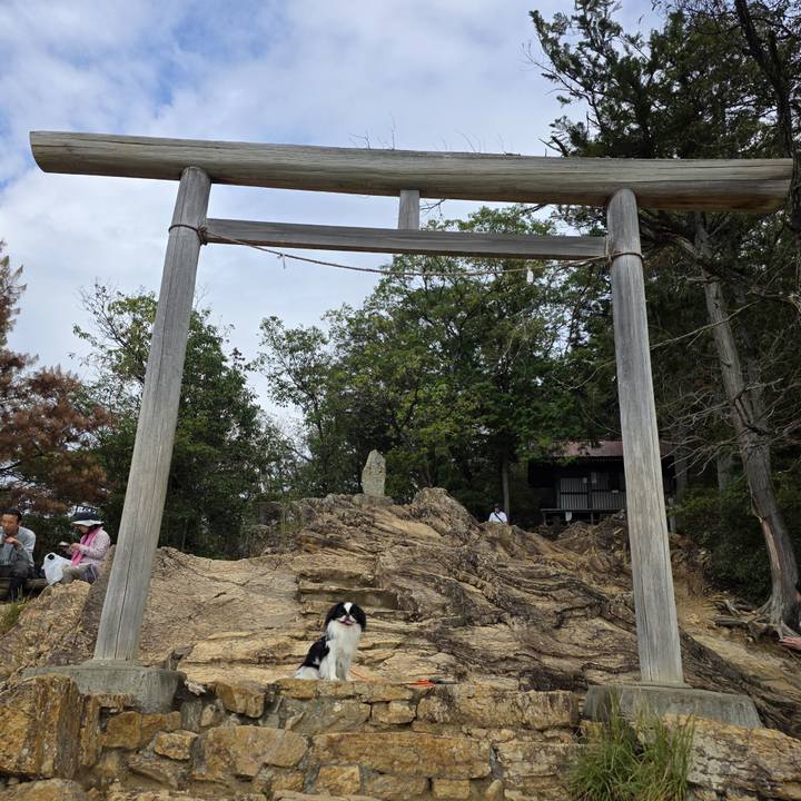 53d13f6b 7003 4713 aab9 bf9b952549e5 1759215752218