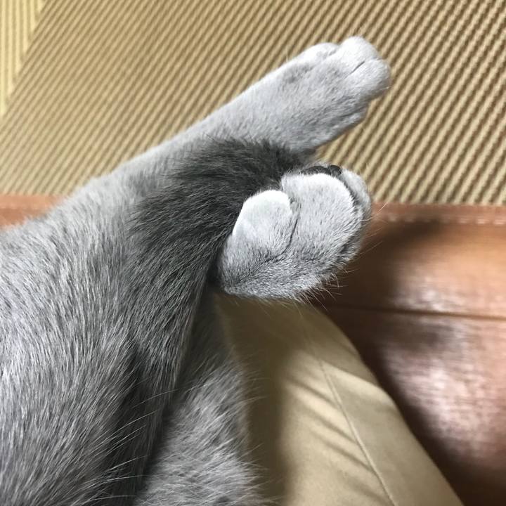 53d17205 3f78 4388 ad65 50c696690ba1 1519472826270