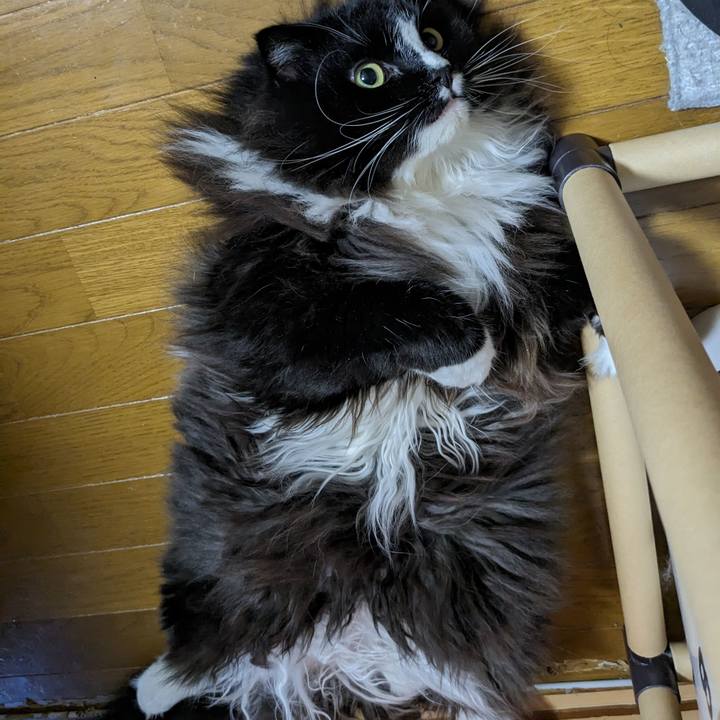 53d1c5b3 56dd 4d47 9ea3 728643430bb3 1689765852034