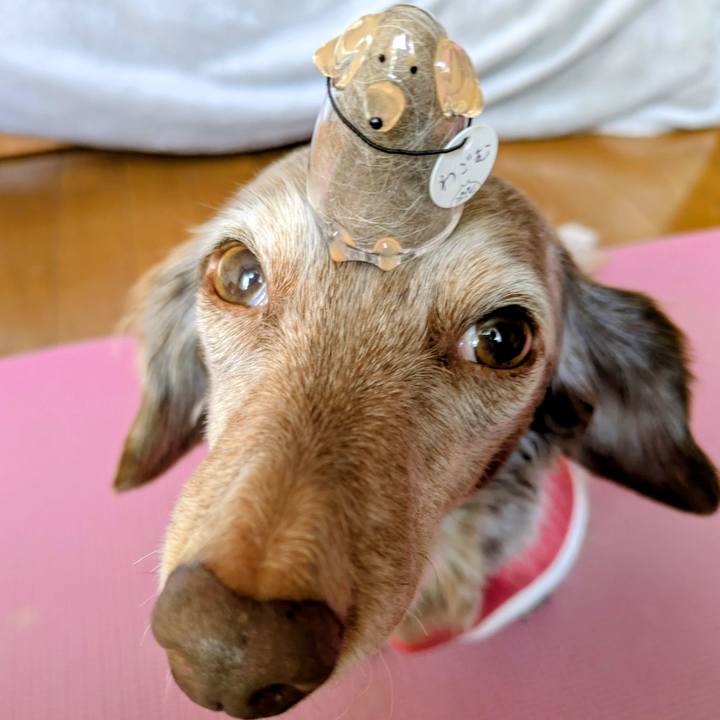 53d1cacb 593e 41f9 8a55 f7c38ef3ffb1 1768528563460