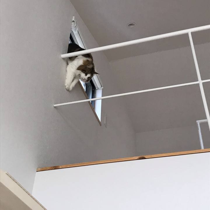 53d1de83 f730 422a 8af2 26acbabc4d51 1553903029052