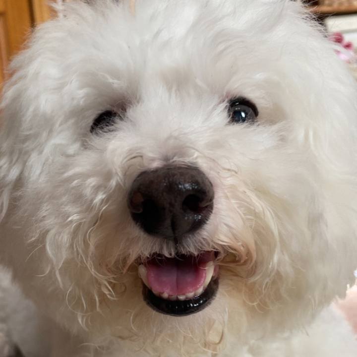 53d1f5ae 305c 443c b2db 0faa788967fa 1759396113566