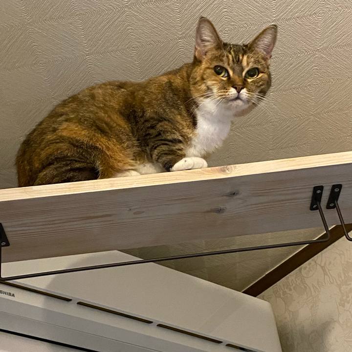 53d208b6 26be 4dc2 aaf1 715f94583a8b 1638975759322