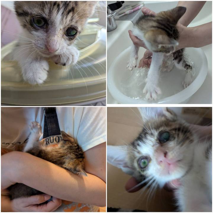 53d212cd 9f34 4575 8e95 0ca9e38a3e50 1726556692581