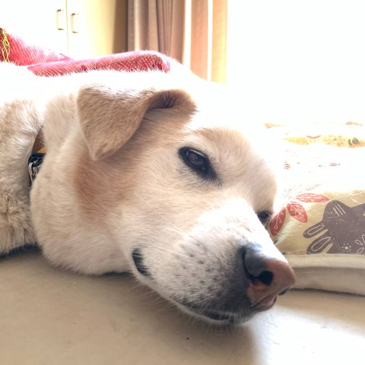 53d2c1e9 2ced 4035 8315 d59ac480248b 1651977016144