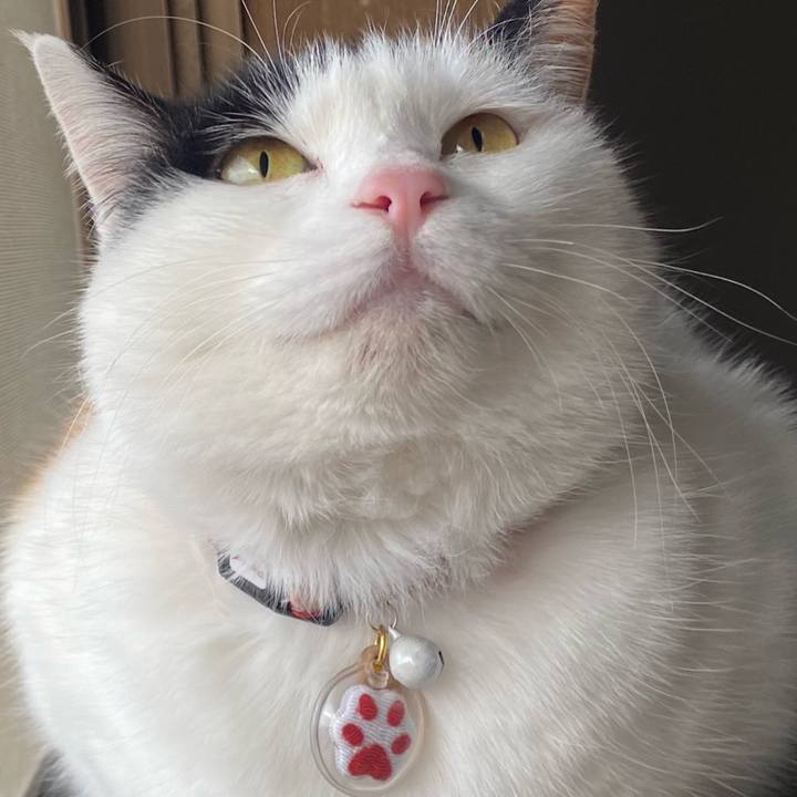 53d2c448 d360 457b 9697 8ce4e92b6e6a 1709213230760