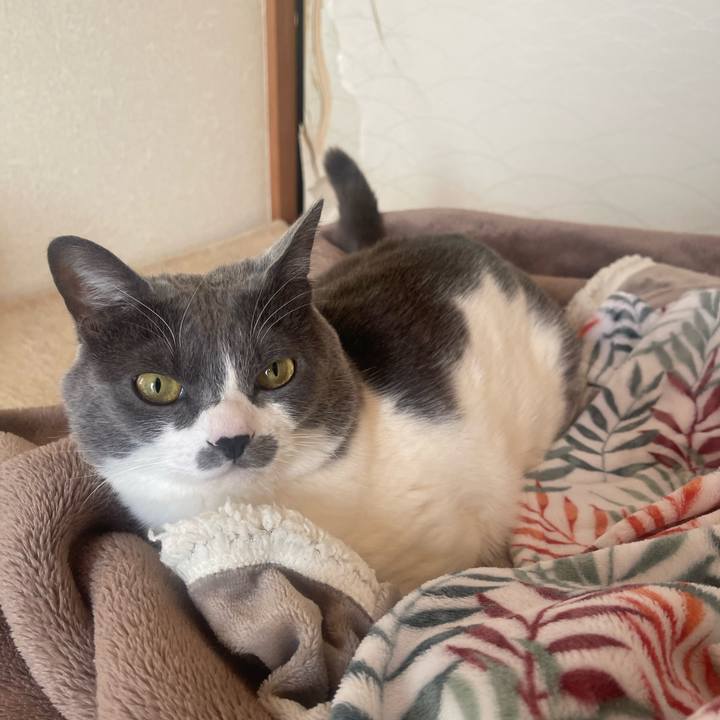 53d2e048 0318 4aff 8f69 3658aa82b1c8 1705623197936