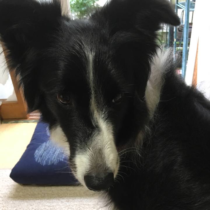 53d2ebd3 747d 42ef a9e9 19eedf20ca11 1539226715271