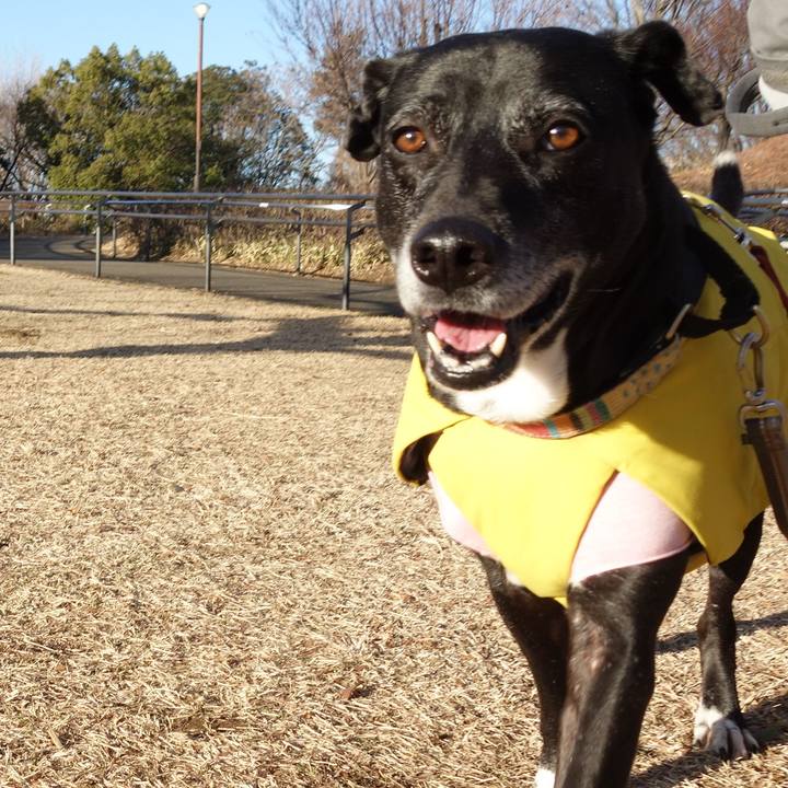 53d2f1fa 37b2 4778 8ca8 114d560dc9e7 1739412565257