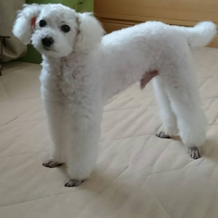 53d30573 40a6 4675 999c e2edfb623284 1536929775454