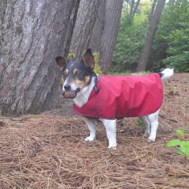 53d3476d 0192 49c3 b526 e57151fce7d5 1651115304770