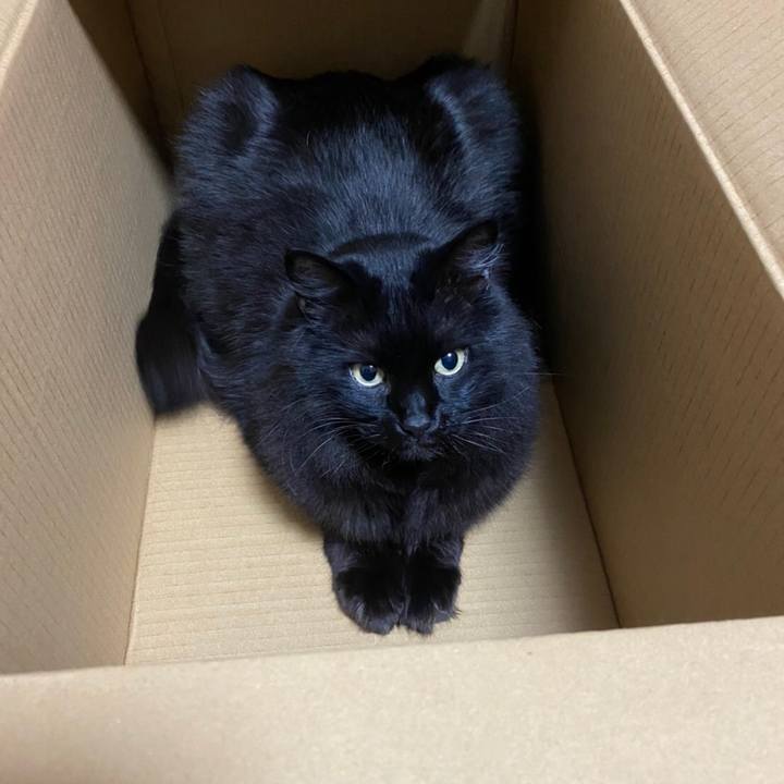 53d35bd7 d220 46f5 b9b3 b15ff0643526 1588125314154