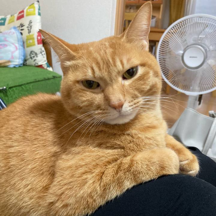 53d385ce e54d 4d70 a022 911877b728c9 1764847001813