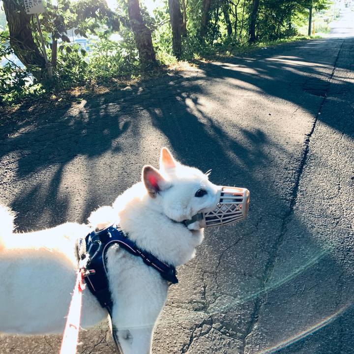 53d396b1 82f9 47ab 8fd2 176361baeb16 1630615854029