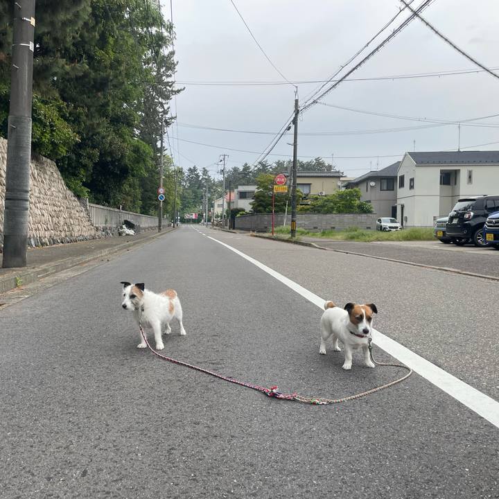 53d3e7c6 b040 4838 abe9 c4e9f3bb3be3 1747438674466