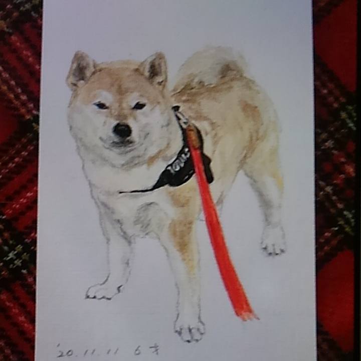 53d3f55e 2435 4b28 bc16 806407d806f9 1605080694190