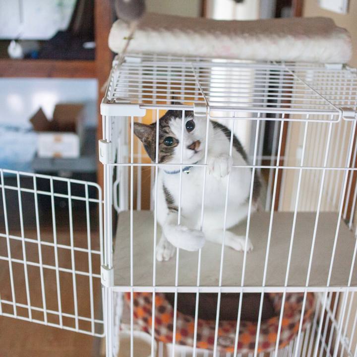 53d3fc3a 7f71 42c5 82b5 15999c819a8b 1571452321330