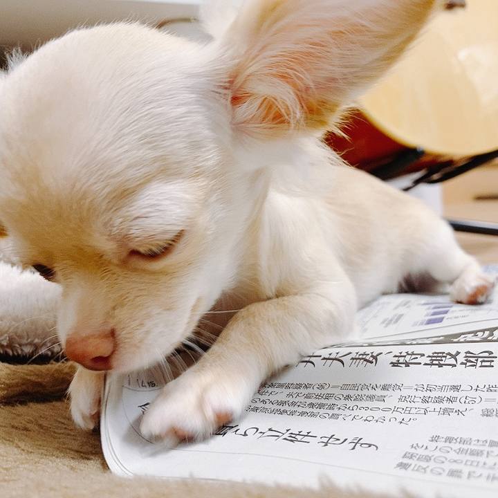 53d40353 adfa 4bec 9da0 a5cff72a66c3 1594118760679