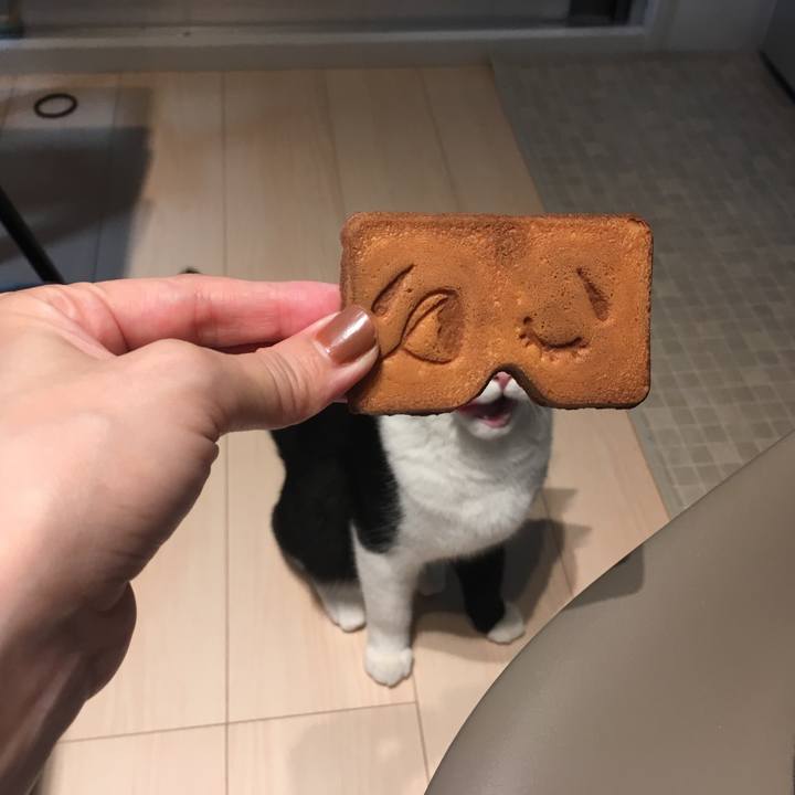 53d4068c 760e 4e80 9e74 63818736f7bd 1538050269145