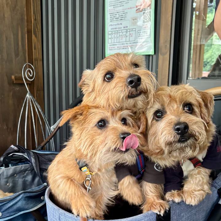 53d40c80 8137 4fd2 b272 54024392f429 1763820094426