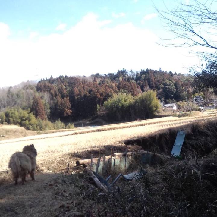 53d4369e 3267 42db b21b 168170cfccde 1549168867124