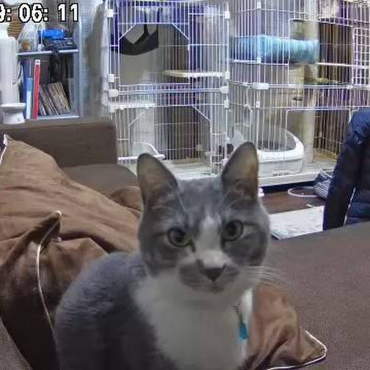 53d44f1f f4ef 476a 87f8 575db5b06784 1642673303204