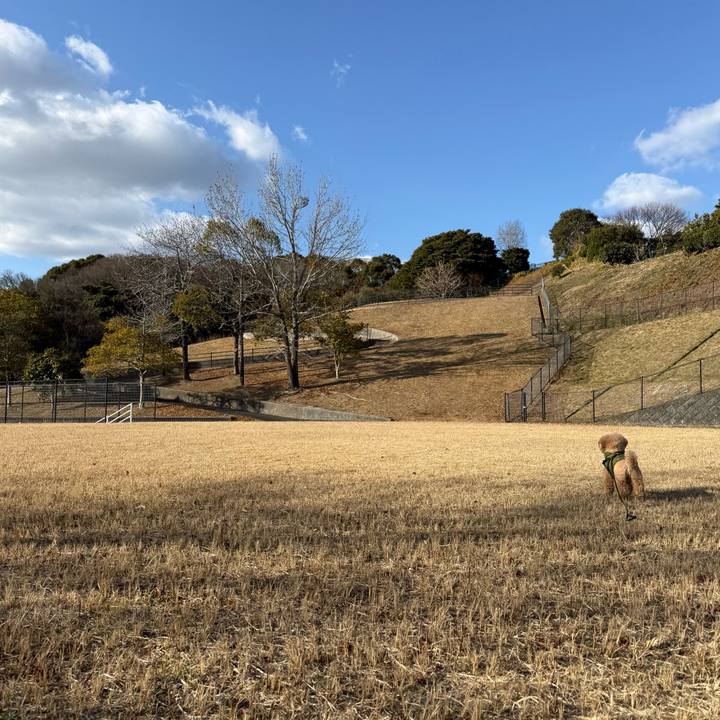 53d45dba 15c4 493a ba1e 2457ca7f314a 1769591451812