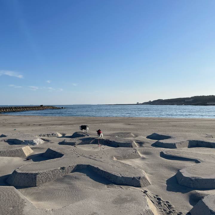 53d47bf7 5a95 4ed0 bc39 2b0752728612 1773964690588