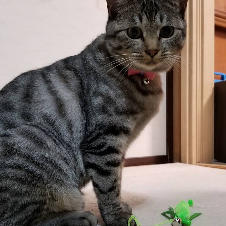 53d48bf4 4889 4115 8360 0d26140929d2 1685188448583