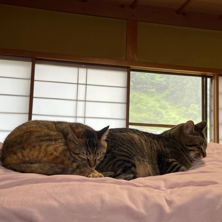 53d4a201 bdc8 4e90 912e 7c9789bfb825 1759461350574