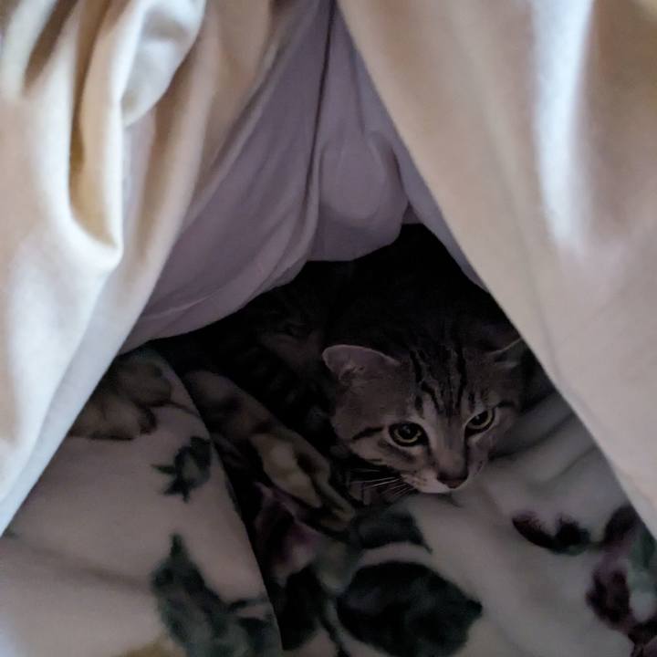 53d4be6c 215f 498e 9951 d072a8fdec17 1713485461465