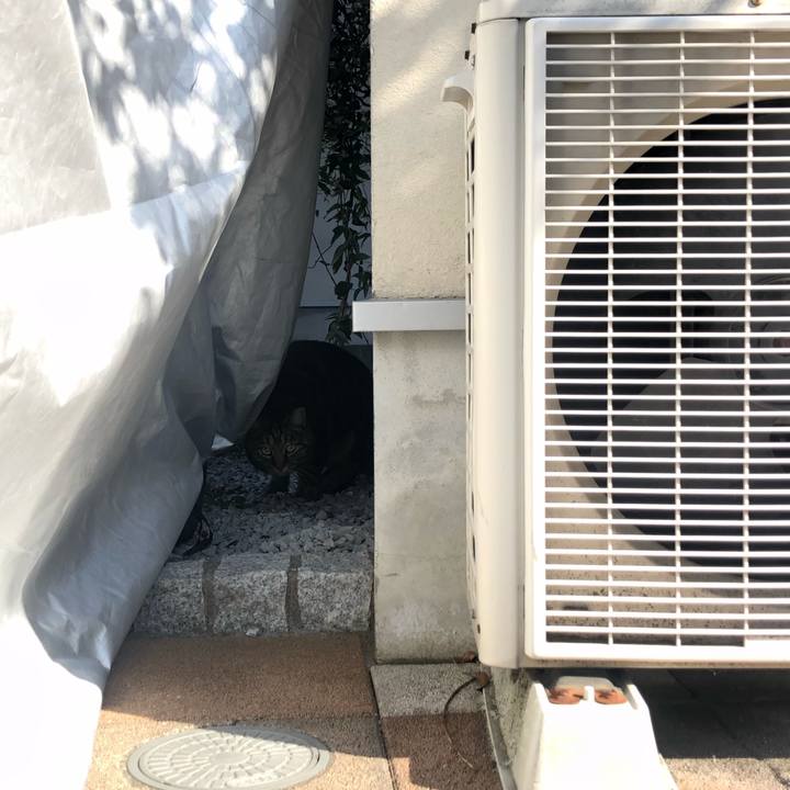 53d533c3 692b 4c07 ac7c 9d4a85be4dde 1583134753901