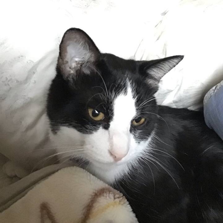 53d541bf 822b 4691 a204 3311422bc7f4 1666655681056