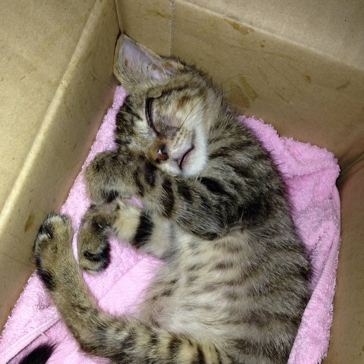 53d551b4 2411 406d 9778 6b4817173bd0 1508304399511