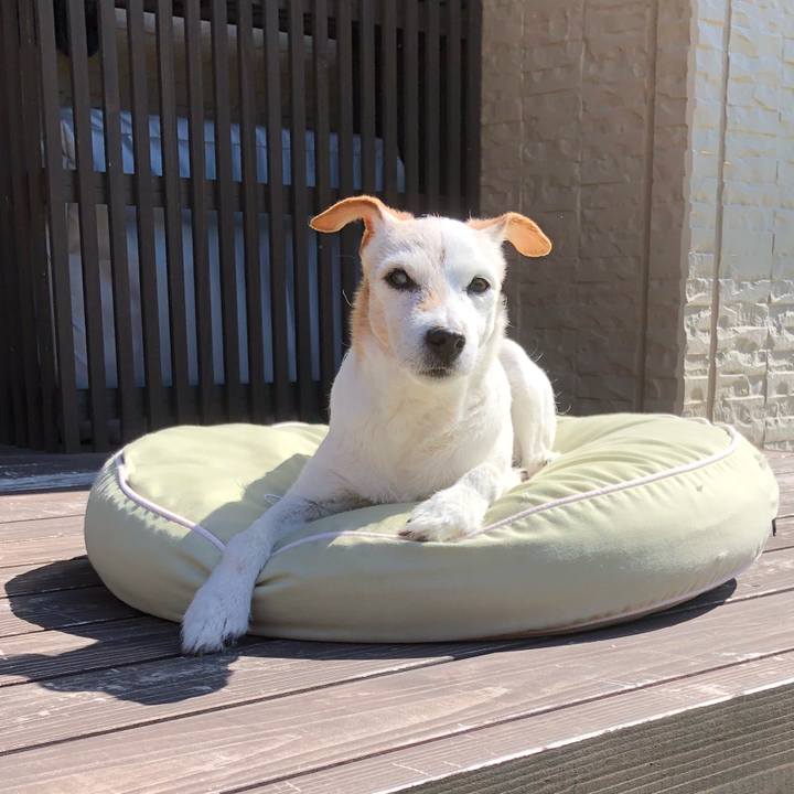 53d55fd9 4964 403e 98e1 b6d7028165c8 1525925855886