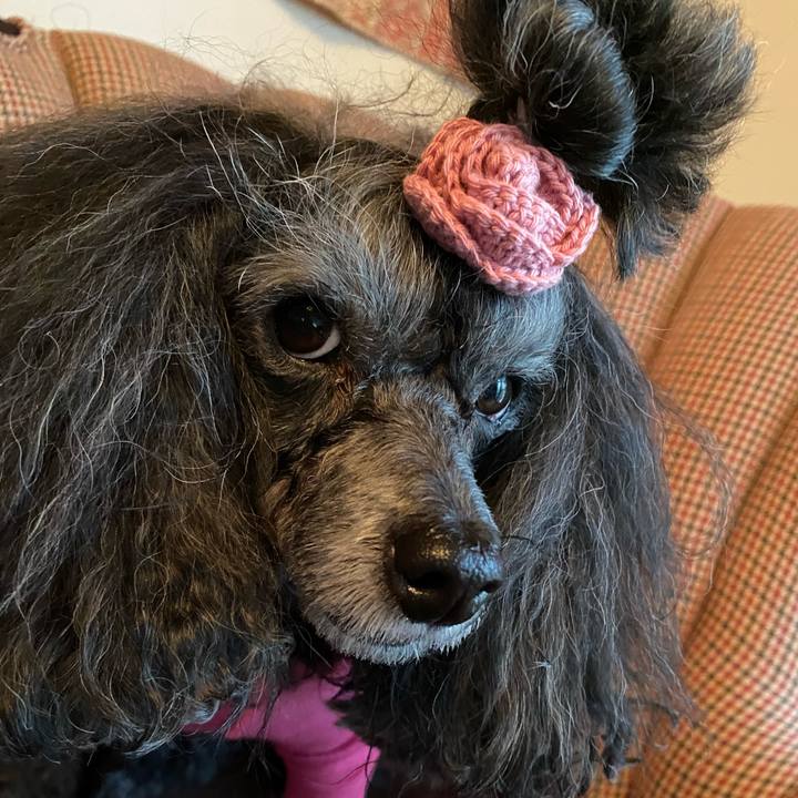 53d56edd dece 4518 aee9 d7908b517df0 1762235947864