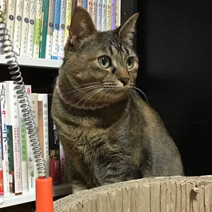 53d5a35a 35da 41ca b5b2 2bb45fb2a7da 1676806836498