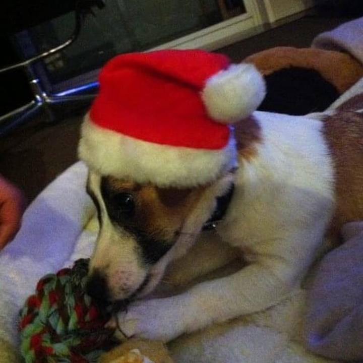 53d5bb23 7e4e 46f3 b0d7 e45d53d00d2e 1671928077452