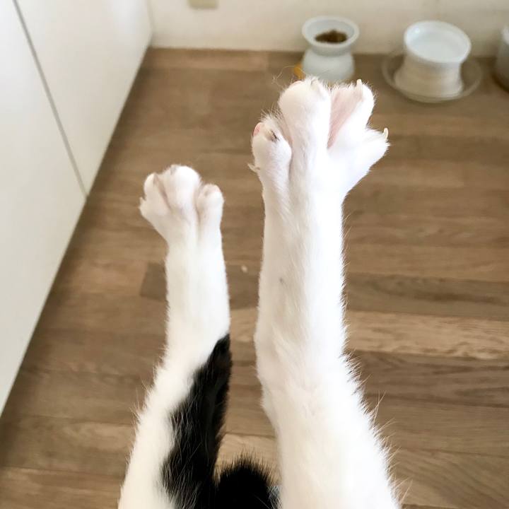 53d5e524 f4ab 49e6 94bb 22077a0c4b56 1555718198594