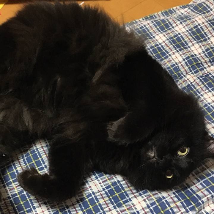 53d601c8 a893 467e ac4c b42337508007 1514352121162