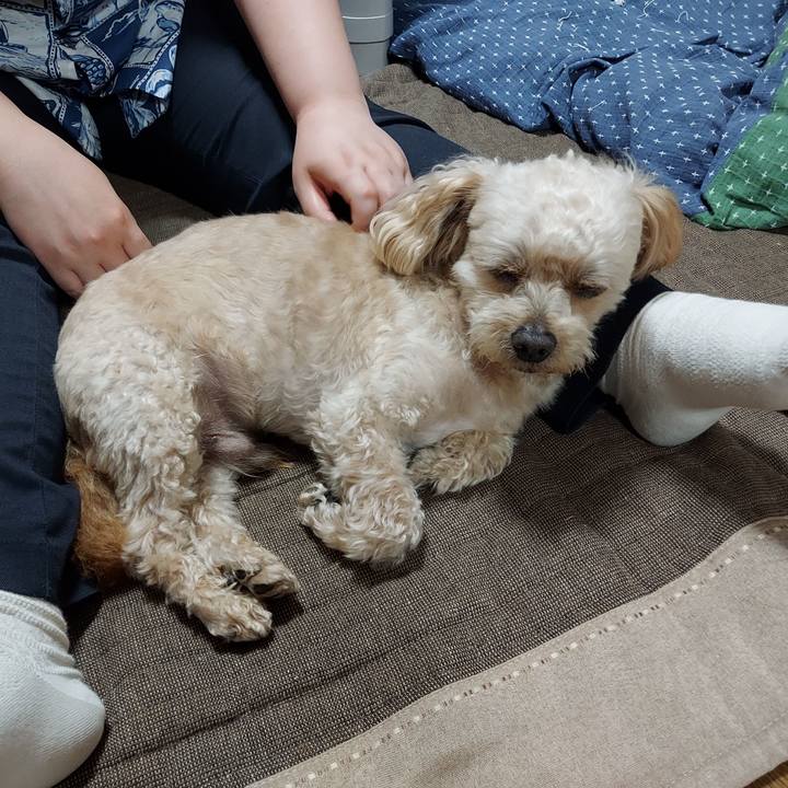 53d64668 bc8a 495b 8198 d1d07a7dc105 1626099232231