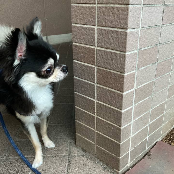 53d660a9 57de 4d05 941b ceb45cc01764 1627739496543