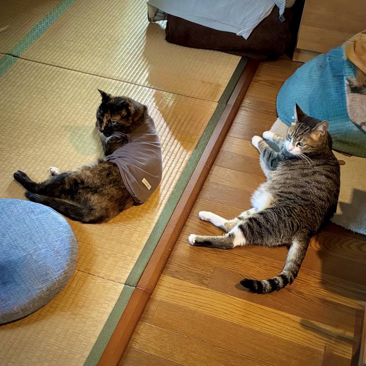 53d669dc 657a 4c21 aff0 da099e606c19 1752566236266