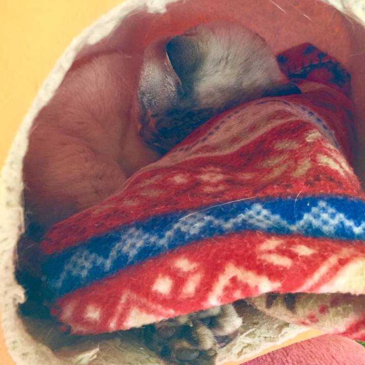 53d67c8f e1fb 4b82 bc78 4331b02e12b4 1586063259585