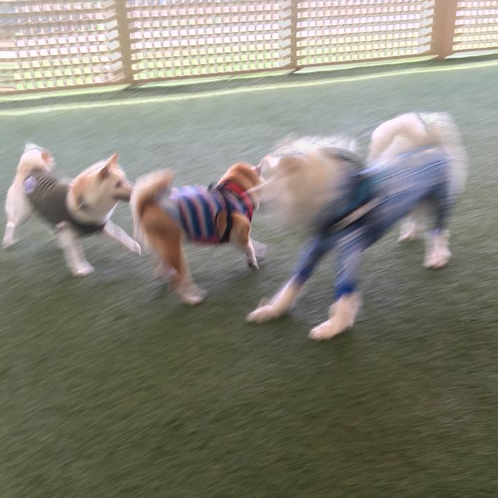 53d67dd7 1e7c 492c b90f 358dfb31d1b7 1622091521418