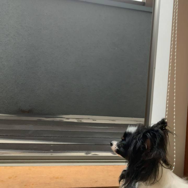 53d6a4fd 9cfb 48e3 9314 3469b84c2c29 1562190629136